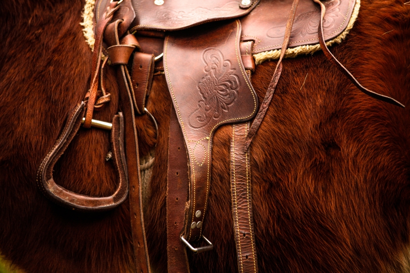 maroquinerie-VALLAURIS-min_saddle-792822